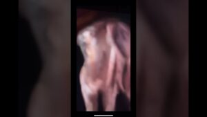 ackerdaddy fingers 😩🤌 #levi #attackontitan #進撃の巨人