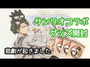 【進撃の巨人】サンリオコラボ｜グッズ開封｜悲劇｜兵長とバツ丸
