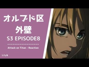 【海外の反応】進撃の巨人 - 3×08〈オルブド区外壁〉