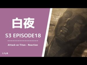【海外の反応】進撃の巨人 - 3×18〈白夜〉