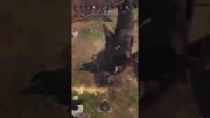 進撃のApex  #shorts #進撃の巨人　#apexlegends