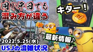 【USJ進撃の巨人ついにあのグッズ完売...】夏に向けて変化するパーク‼︎現在の平日はこうだった‼︎超必見の夏情報も♪2022年5月25日水曜日の様子、ユニバーサルスタジオジャパンの混雑状況