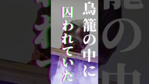 リアルミカサ vs 超大型巨人【進撃の巨人】 #shorts