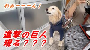 進撃の巨人が現れた？？？