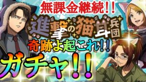 【ブレオダ】新キャラガチャ！！「猫耳リヴァイ・猫耳ペトラ・猫耳ハンジ」＆課金するならどれ買うべき！？ミッションや連合模擬戦についてなど【進撃の巨人】【ブレイブオーダー】