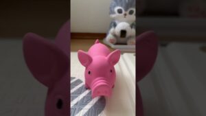 進撃の巨人エレンチワワ