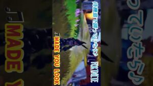 ［横ショート動画］フォートナイト・進撃の巨人エモートに囲まれる💚MADE YOU LOOK♪