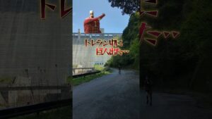 もしも トレラン中に進撃の巨人が出たら…いつもより速く走れると思う。＃トレラン#進撃の巨人