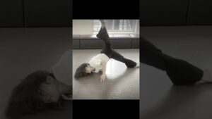 【進撃の巨人ED】悪魔の子/ ヒグチアイ