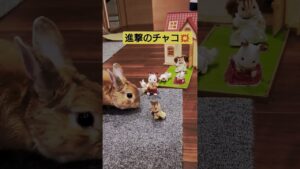 【パロディー】進撃の巨人(⁠~⁠￣⁠³⁠￣⁠)⁠~うさぎのチャコちゃんの回！！
