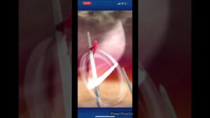 ミカサ(最終決戦)使ってみた！#ぷにぷに#進撃の巨人