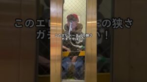 【散歩する筋ジスアニキ】サカエチカの古いエレベーター【進撃の巨人】#筋ジストロフィー #テレビに出たい #藤田ニコルんに介助してもらいたい