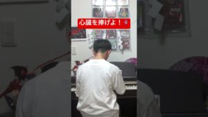 [進撃の巨人]紅蓮の弓矢　弾いてみた