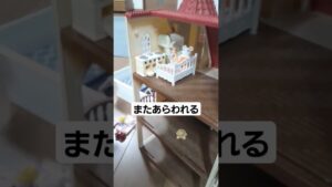 高齢犬🐶悲報#シルバニアファミリー #進撃の巨人 #トイプードル #老犬 #危険