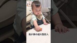 #赤ちゃん#赤ちゃんのいる生活 #進撃の巨人