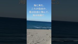 自由を求め海へ。【進撃の巨人】