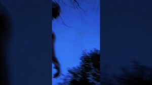 進撃の巨人の恐ろしいペットAttack on Titan's scary pet進擊的巨人之巨人的恐怖寵物