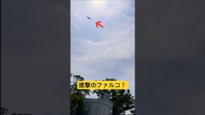 ファルコが飛んでる❗️進撃の巨人