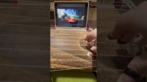 【進撃の巨人】悪魔の子を箏で弾いてみた