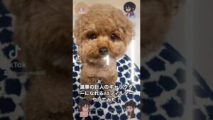 トイプードルに進撃の巨人のAIフィルターやってみた❗️#進撃の巨人#進撃の巨人AIフィルター#トイプードル