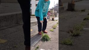 一撃必殺 #shorts #草抜き #紅蓮の弓矢 #進撃の巨人 #capcut