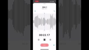 #歌ってみた #進撃の巨人 #悪魔の子 #ヒグチアイ
