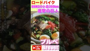 【ロードバイク】ブルベ「BRM317小倉200km 進撃の巨人」  #ブルベ #Brevet#ロードバイク #roadbike #trek
