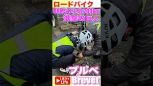 【ロードバイク】ブルベ「BRM317小倉200km 進撃の巨人」  #ブルベ #Brevet#ロードバイク #roadbike #trek