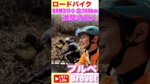 【ロードバイク】ブルベ「BRM317小倉200km 進撃の巨人」  #ブルベ #Brevet#ロードバイク #roadbike #trek