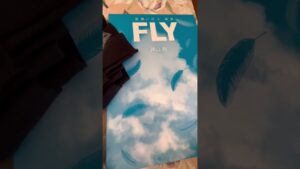 【ついに！！】進撃の巨人画集FLYが届いた…！！！！！！！！！！！！！